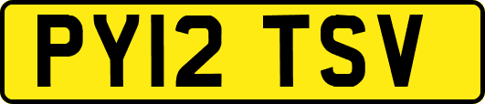 PY12TSV