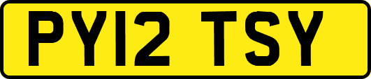 PY12TSY