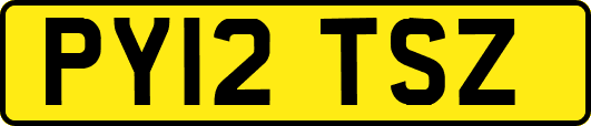 PY12TSZ