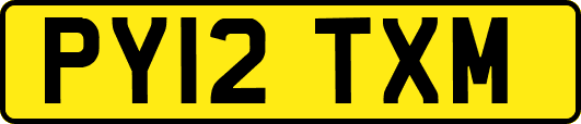 PY12TXM