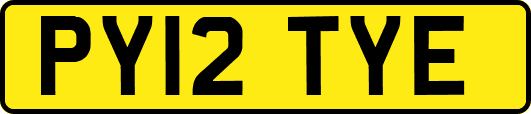 PY12TYE