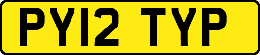 PY12TYP