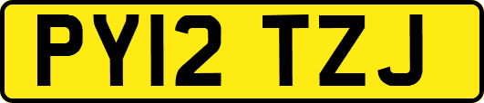 PY12TZJ
