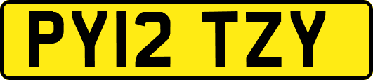 PY12TZY