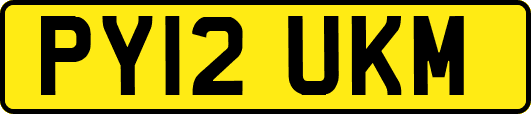 PY12UKM