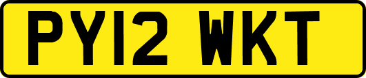 PY12WKT