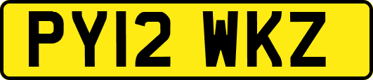 PY12WKZ