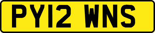 PY12WNS