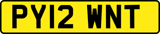PY12WNT