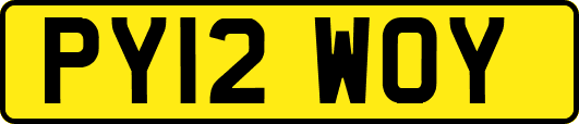 PY12WOY