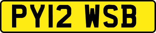 PY12WSB