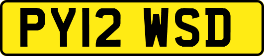 PY12WSD