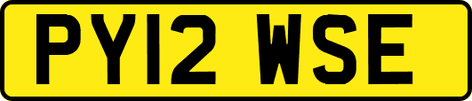 PY12WSE