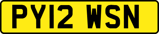 PY12WSN