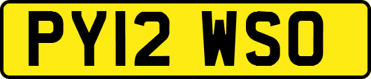 PY12WSO
