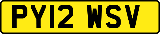 PY12WSV