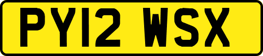 PY12WSX