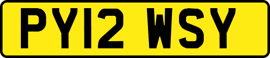 PY12WSY