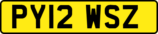 PY12WSZ