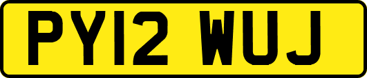 PY12WUJ