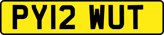 PY12WUT