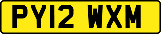 PY12WXM