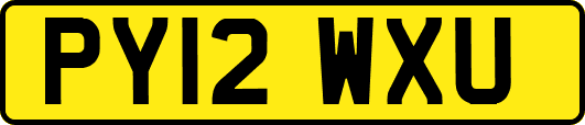 PY12WXU