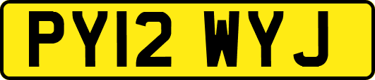 PY12WYJ