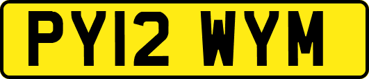 PY12WYM