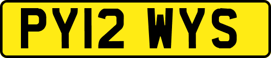 PY12WYS