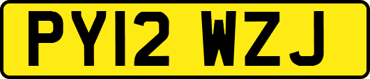 PY12WZJ