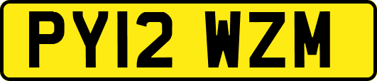 PY12WZM
