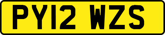 PY12WZS