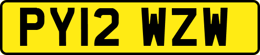 PY12WZW