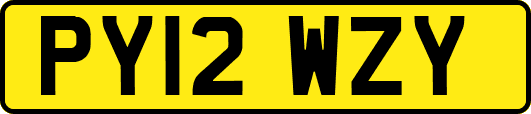 PY12WZY
