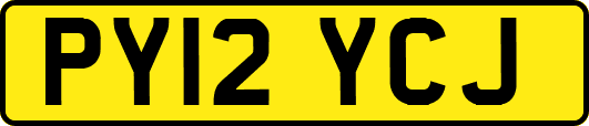 PY12YCJ