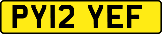PY12YEF