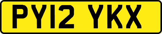 PY12YKX