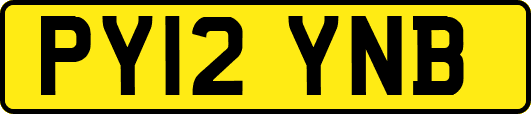 PY12YNB