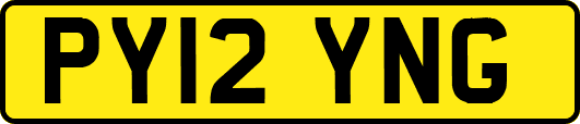 PY12YNG