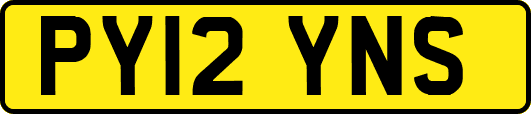 PY12YNS