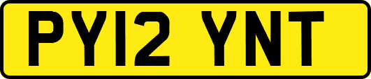 PY12YNT