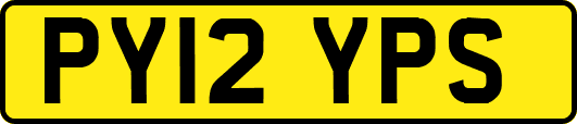 PY12YPS
