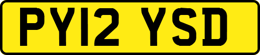 PY12YSD
