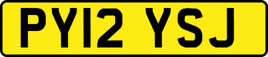 PY12YSJ