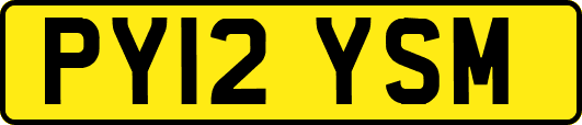 PY12YSM