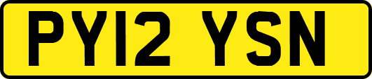 PY12YSN