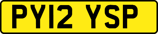 PY12YSP