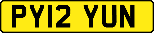 PY12YUN