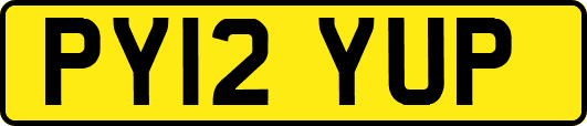 PY12YUP